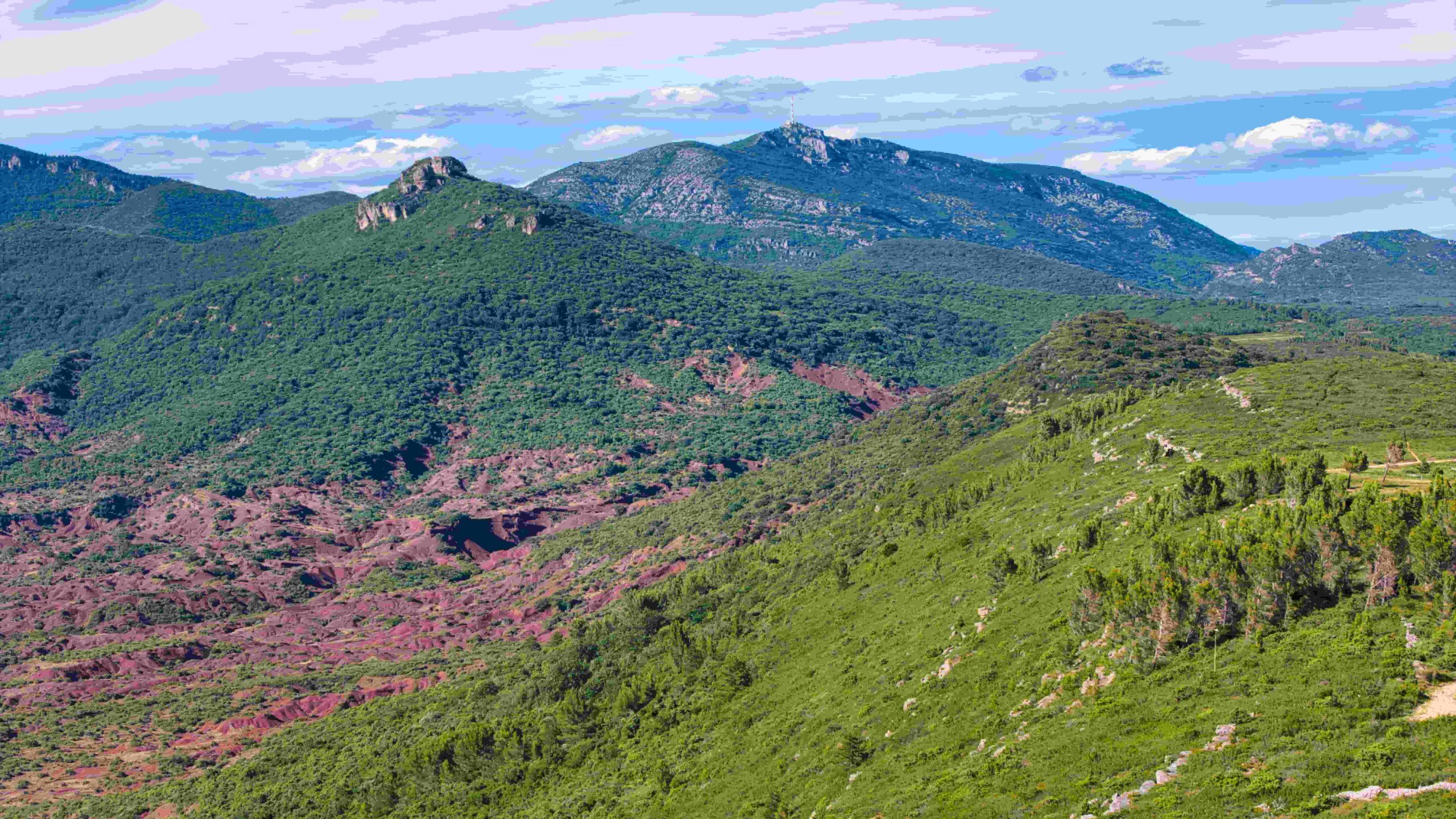 Géologie du Languedoc : 600 millions d’années sous les vignes